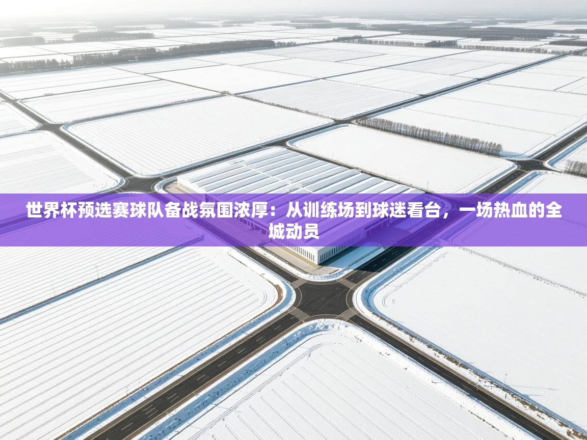世界杯预选赛球队备战氛围浓厚：从训练场到球迷看台，一场热血的全城动员  第1张