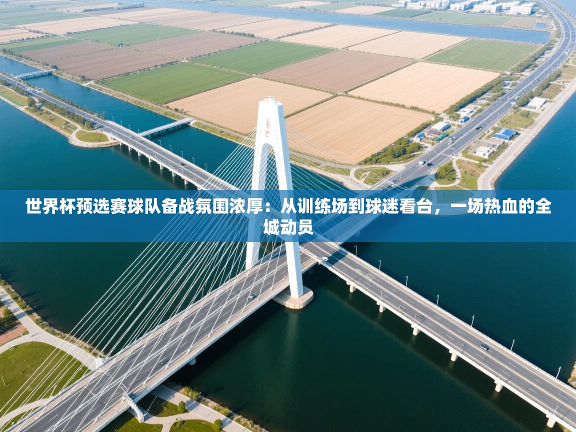 世界杯预选赛球队备战氛围浓厚：从训练场到球迷看台，一场热血的全城动员  第2张